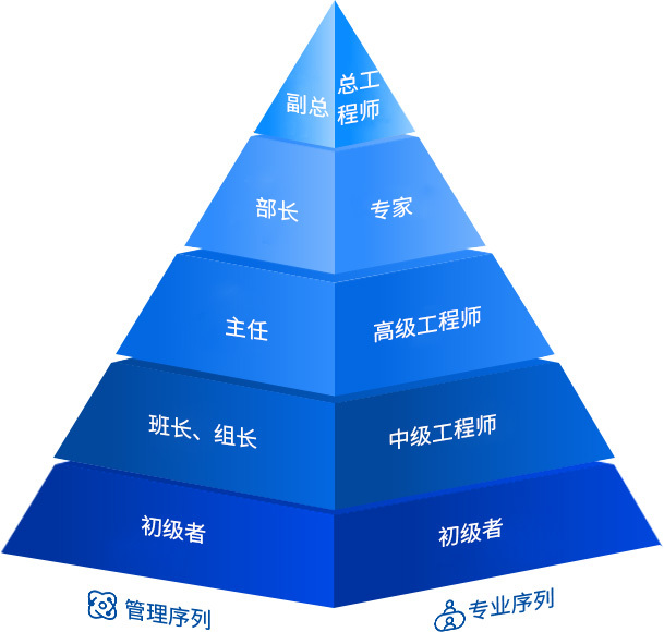 金百利国际之星