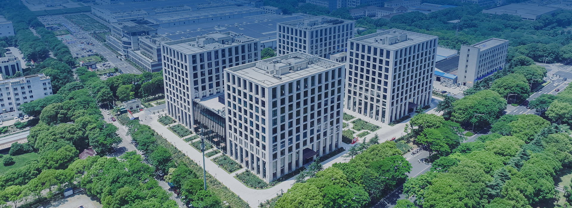 关于金百利国际